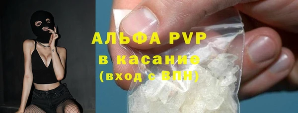 прущие грибы Саяногорск