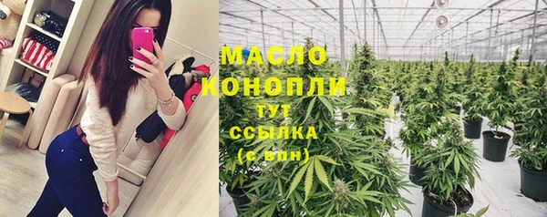 прущие грибы Саяногорск