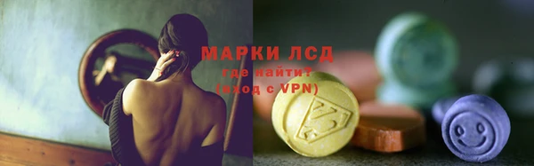 прущие грибы Саяногорск