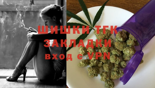 прущие грибы Саяногорск